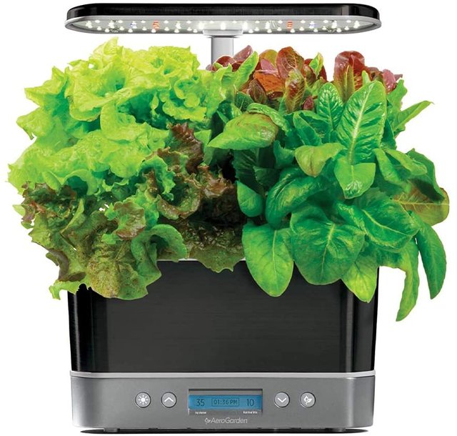 Indoor Garden Kit - AeroGarden Harvest Elite Indoor Hydroponic Garden, 2019 Model Platinum