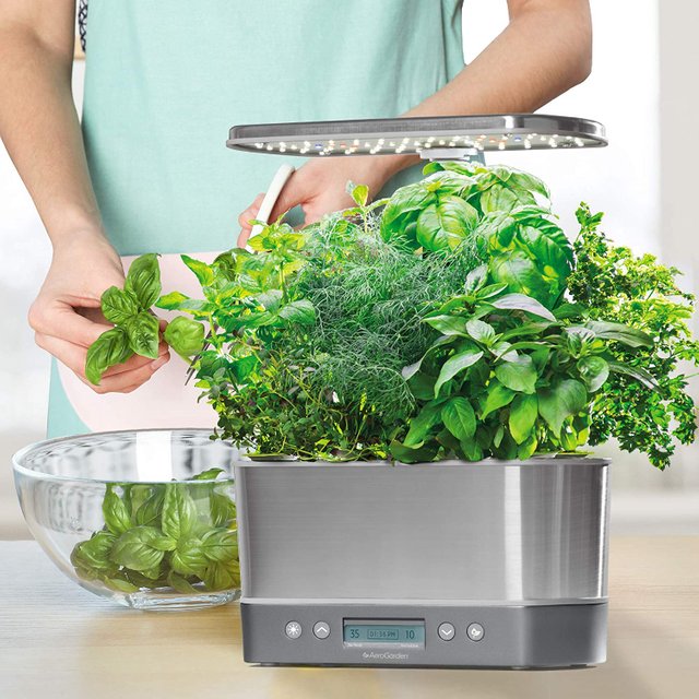 Indoor Garden Kit - AeroGarden Harvest Elite Stainless Steel