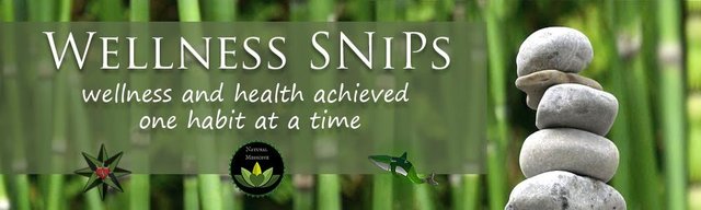 Wellness SNiPs Footer