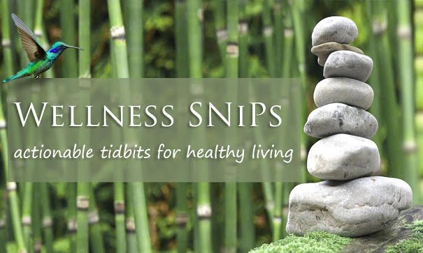 Wellness SNiPs Cover