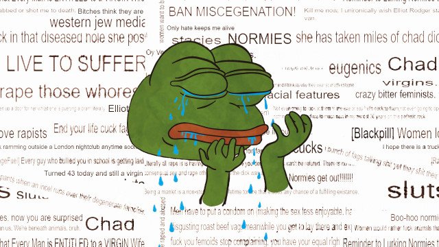 Pepe incels and their constellated pc insults