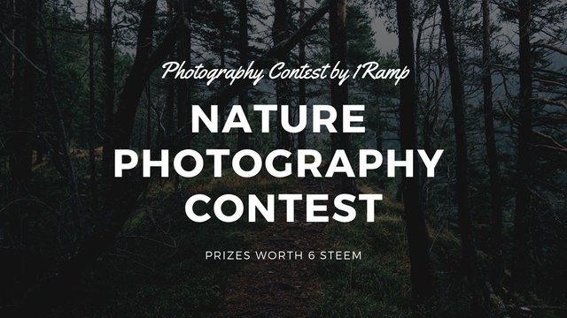 Nature Photography Contest By 1Ramp