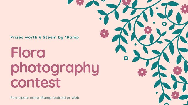 Flora Photography Contest