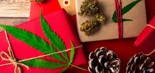 57: The Green Holiday Guide: Unique Cannabis Gift Ideas for 2023 – Herbal  Dispatch