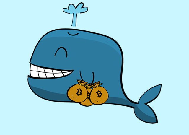 Image result for crypto whale