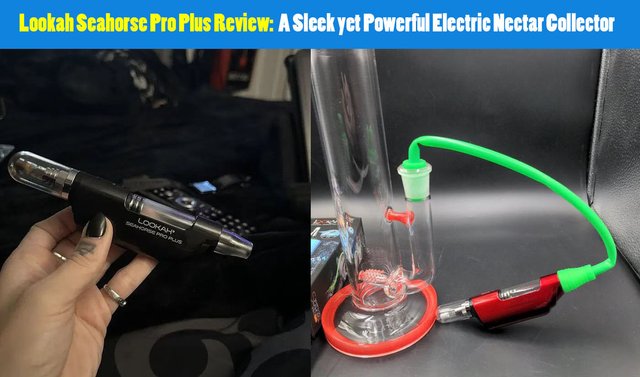 lookah seahorse pro plus