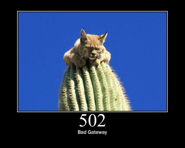http 502 Bad gateway