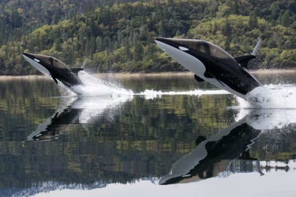 Orca-facebook-e1423246111426-600x400.jpg