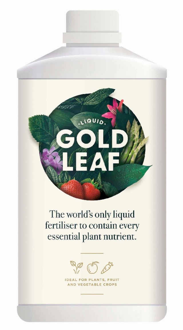 Liquid Gold Leaf - liquid and ecological fertilizer — Steemit