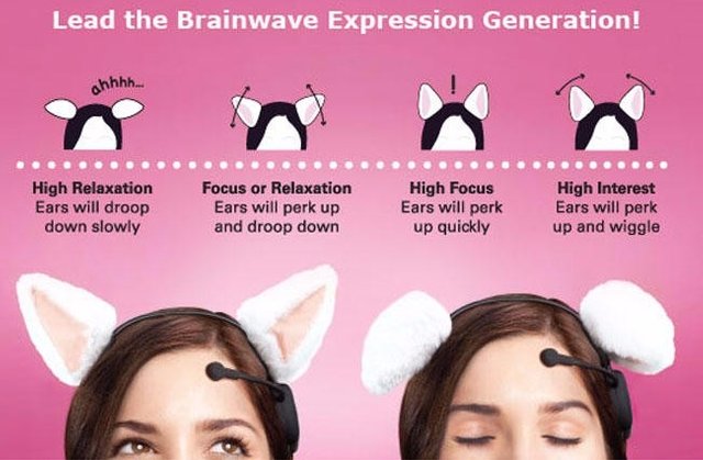 orejas-de-gato-cosplay-necomimi-neurowear-original-inmediato-D_NQ_NP_229011-MLM20450826672_102015-F.jpg
