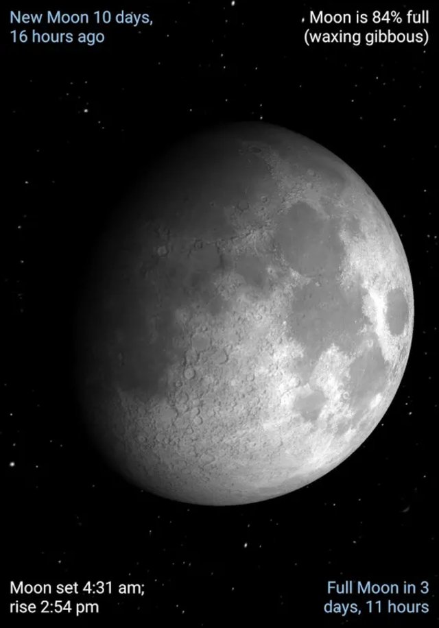 Screenshot_20180929-204449_Google Play Store.jpg