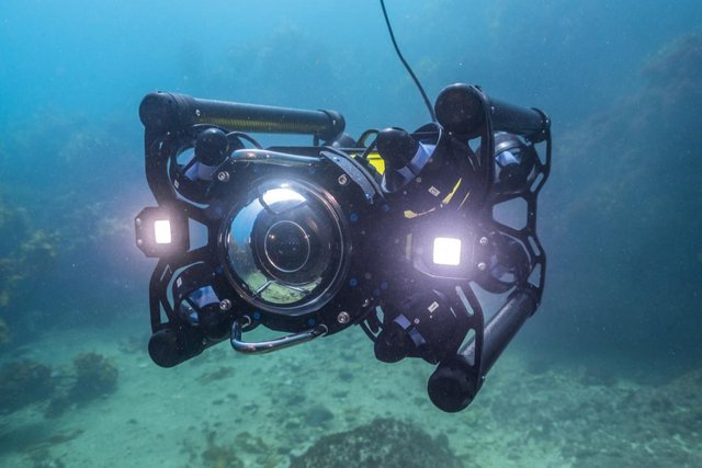 boxfish-rov-7.jpg