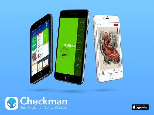 checkman1.jpe