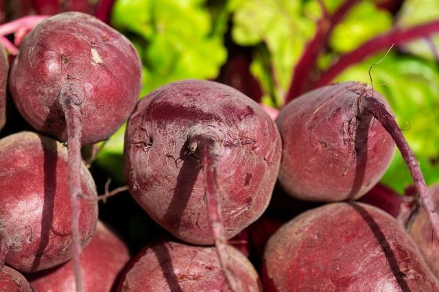 https://www.etsy.com/listing/733217709/organic-red-beet-root-seeds-non-gmo