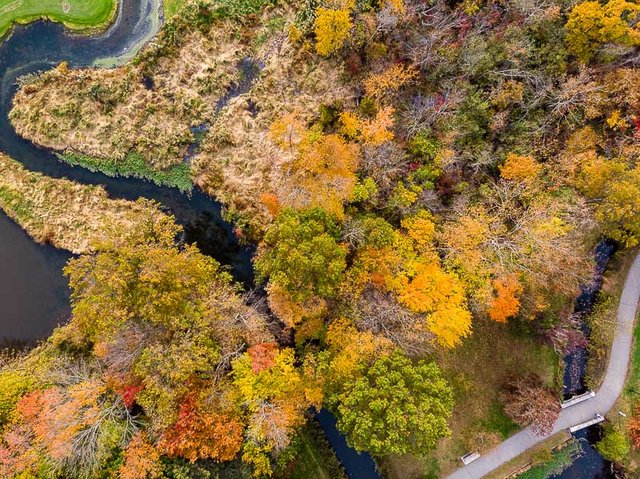 colonphoto-com-005-foliage-autumn-season-Verona-Park-in-New-Jersey-20191025-DJI-0752