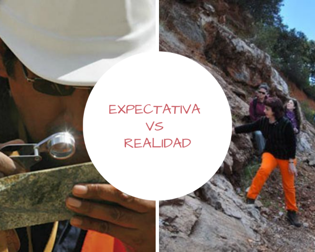 expactaviva-vs-realidad