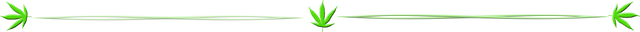 cannabis-hemp-weed-blog-divider