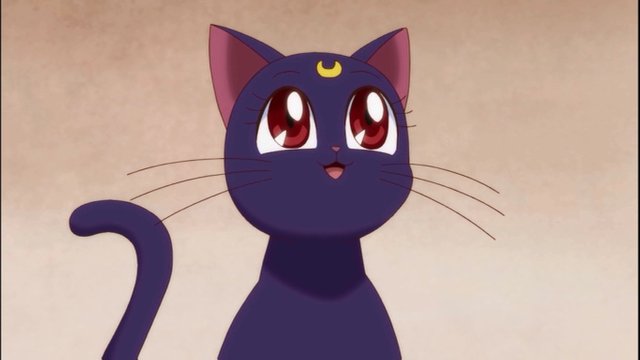 What Would Cats Look Like As Anime Girls This Japanese Illustrator Has The  Answer  Bored Panda