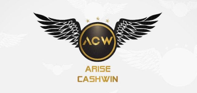 arise-cashwin