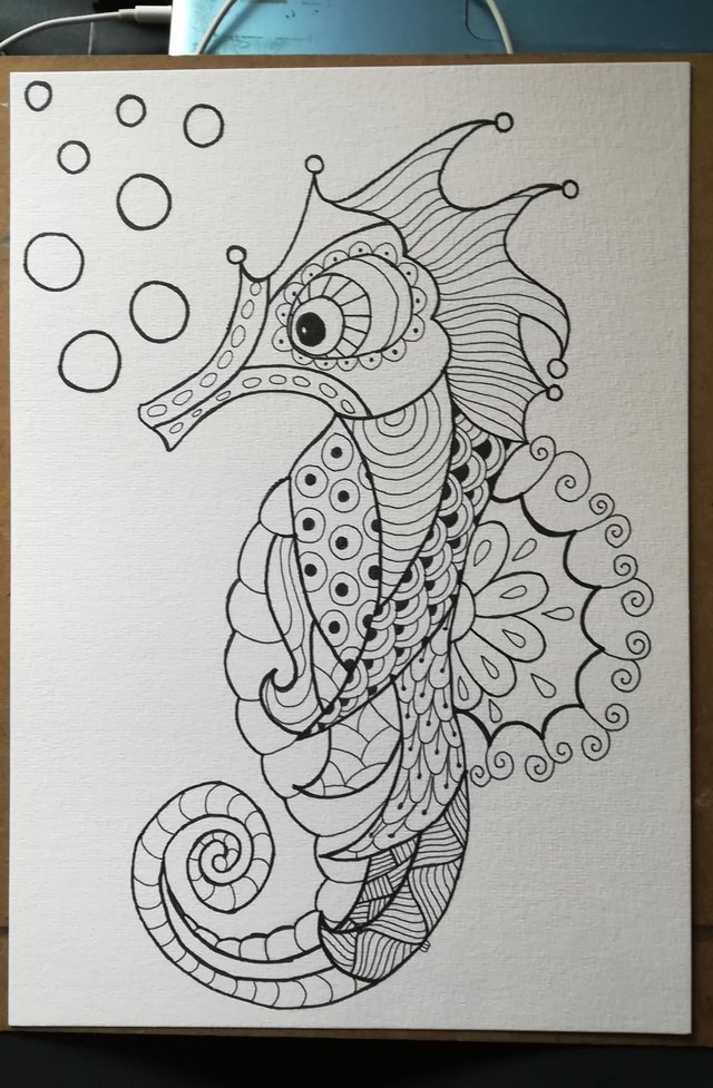 simple seahorse drawing