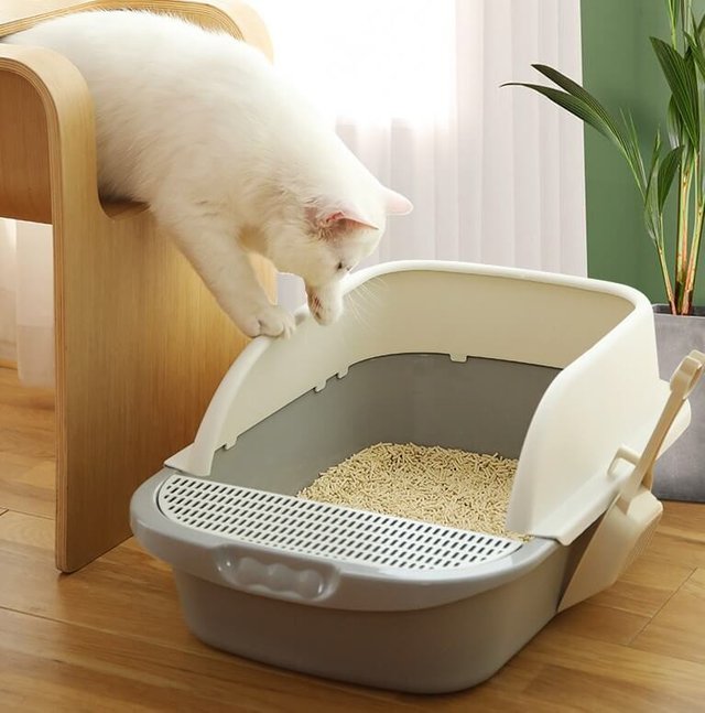 How to Choose the Right Cat Litter Box