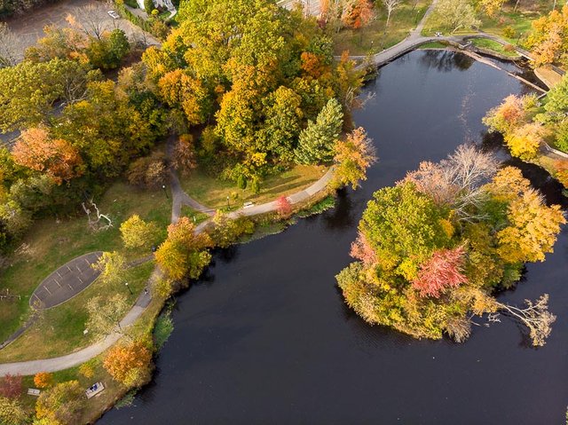 colonphoto-com-015-foliage-autumn-season-Verona-Park-in-New-Jersey-20191025-DJI-0795