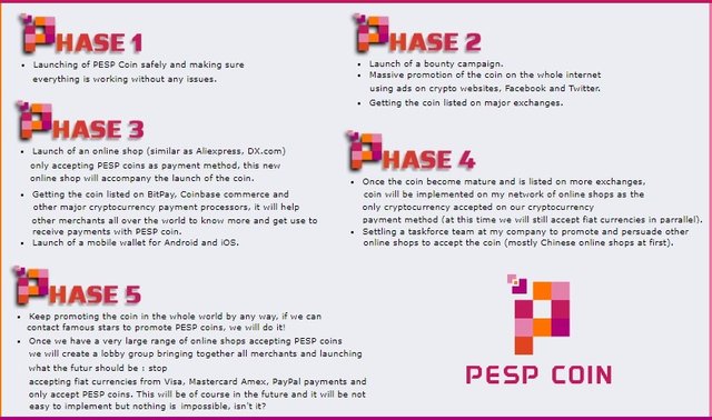 roadmap-pepscoin