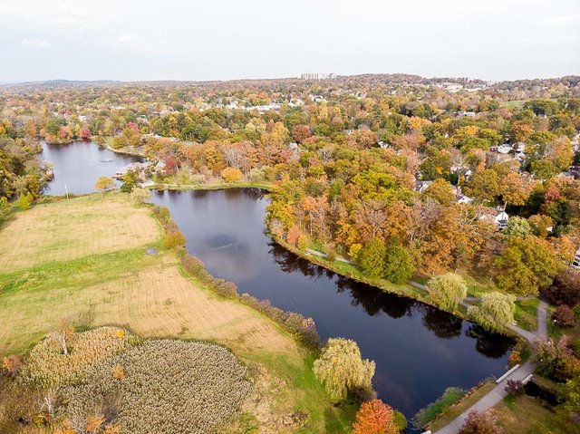 colonphoto-com-008-foliage-autumn-season-Verona-Park-in-New-Jersey-20191025-DJI-0760