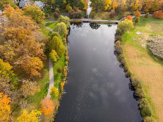 colonphoto-com-012-foliage-autumn-season-Verona-Park-in-New-Jersey-20191025-DJI-0777