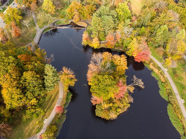 colonphoto-com-014-foliage-autumn-season-Verona-Park-in-New-Jersey-20191025-DJI-0791