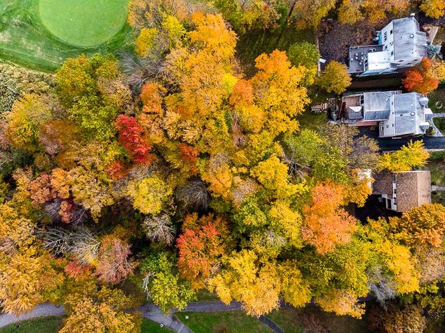 colonphoto-com-004-foliage-autumn-season-Verona-Park-in-New-Jersey-20191025-DJI-0745
