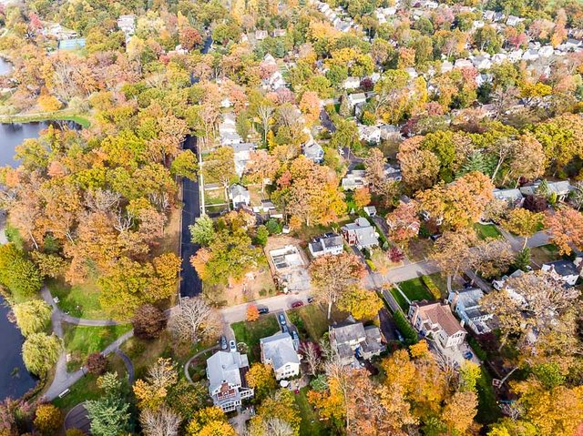 colonphoto-com-007-foliage-autumn-season-Verona-Park-in-New-Jersey-20191025-DJI-0737