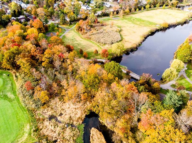 colonphoto-com-002-foliage-autumn-season-Verona-Park-in-New-Jersey-20191025-DJI-0724