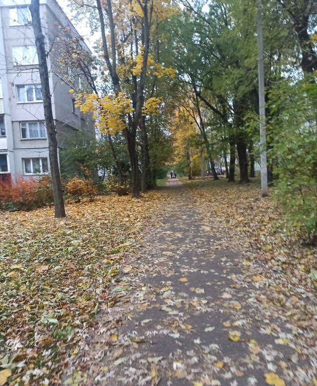 IMG-20211017-164358-2