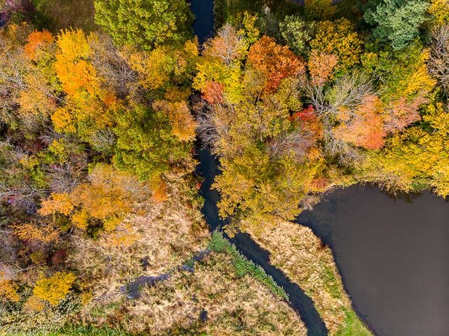 colonphoto-com-006-foliage-autumn-season-Verona-Park-in-New-Jersey-20191025-DJI-0757