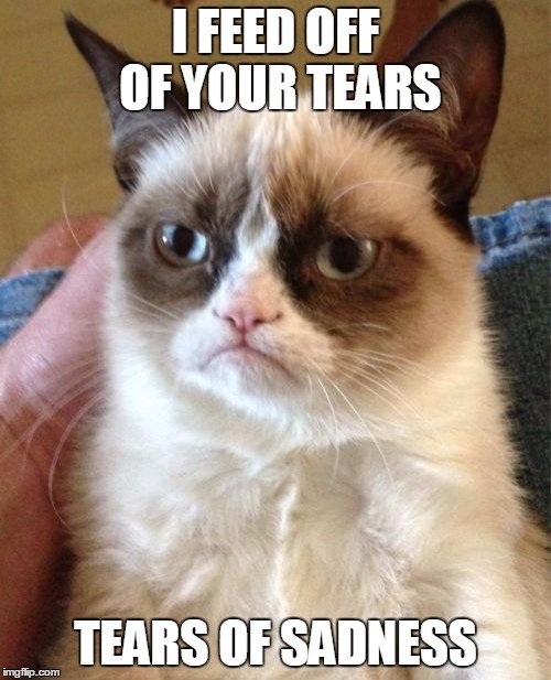 Image result for grumpy cat meme your tears