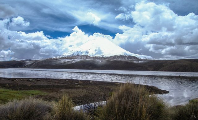 Lago Chungara