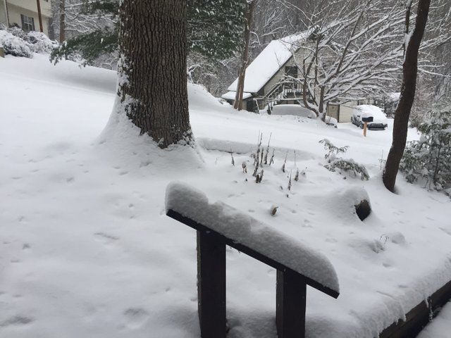 snow off the porch2