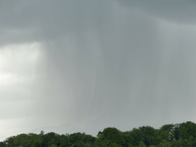 Soaked by a Sudden Downpour