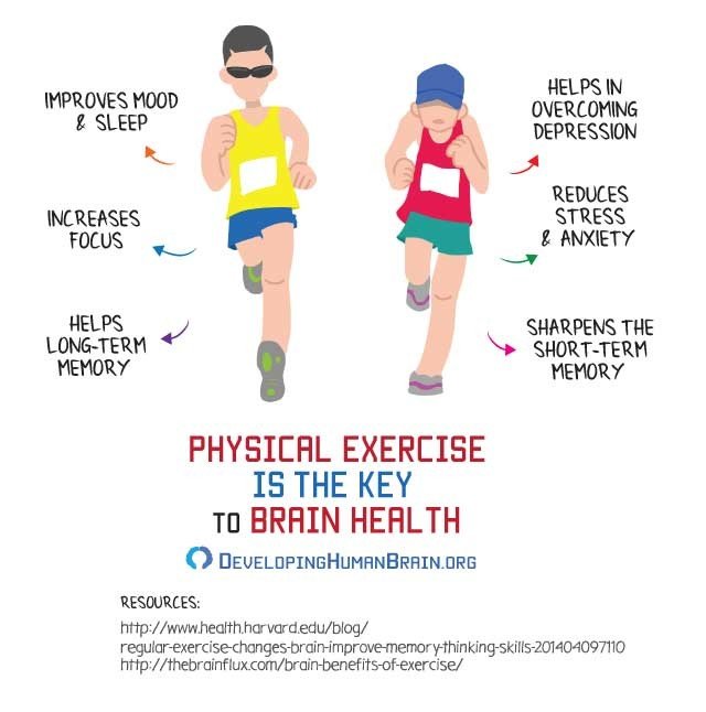 Exercise Health Benefits: How Running Changes Your Brain and Body