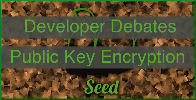 DeveloperDebatesPublicKeyEncryption.png