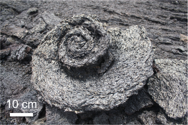 Hawaiian lava coil