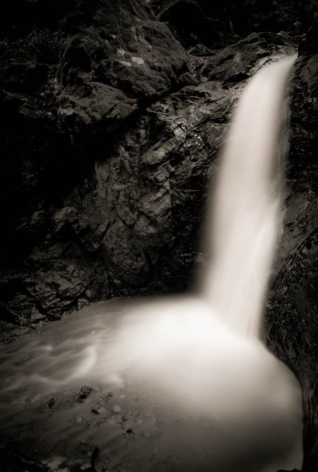 cascade portrait