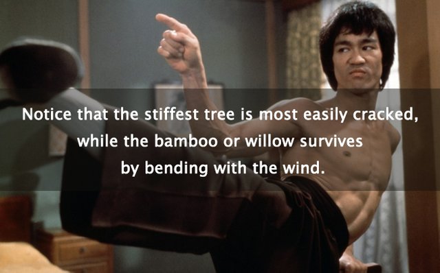 The tao cheap of bruce lee