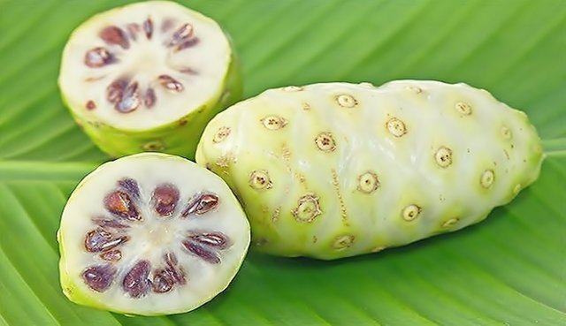 The Benefit of Noni Fruit For Skin 