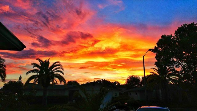 Image of a Florida Sunset