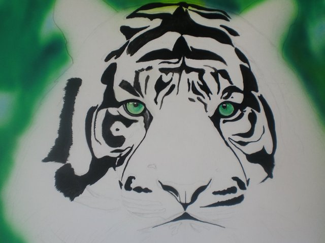 tigre2