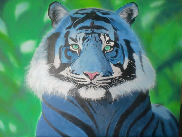 tigre3