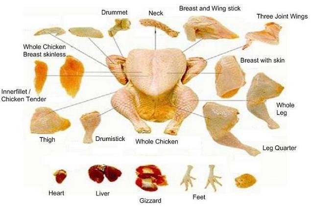 chicken meat parts