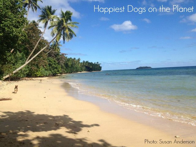 Travel to Fiji - Our Own Beach